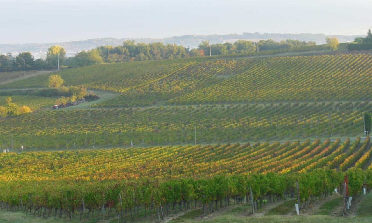 Romantic Gite Nr St Emilion With Private Pool And Views To Die For Pujols  Εξωτερικό φωτογραφία