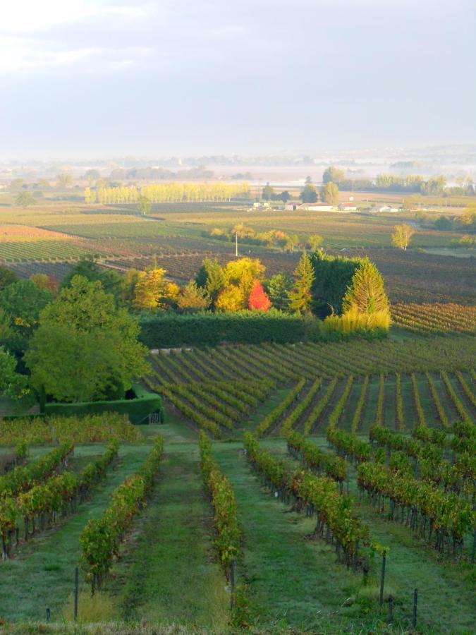 Romantic Gite Nr St Emilion With Private Pool And Views To Die For Pujols  Εξωτερικό φωτογραφία
