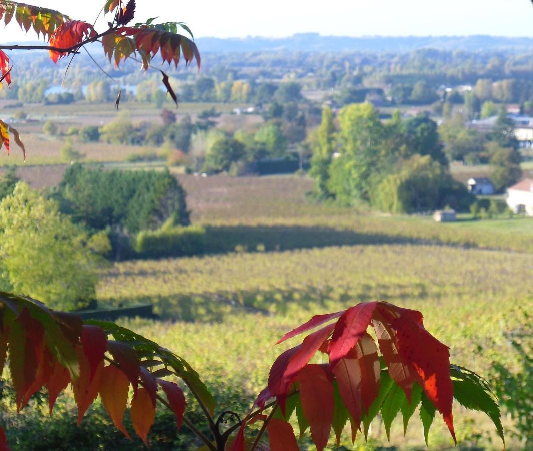Romantic Gite Nr St Emilion With Private Pool And Views To Die For Pujols  Εξωτερικό φωτογραφία