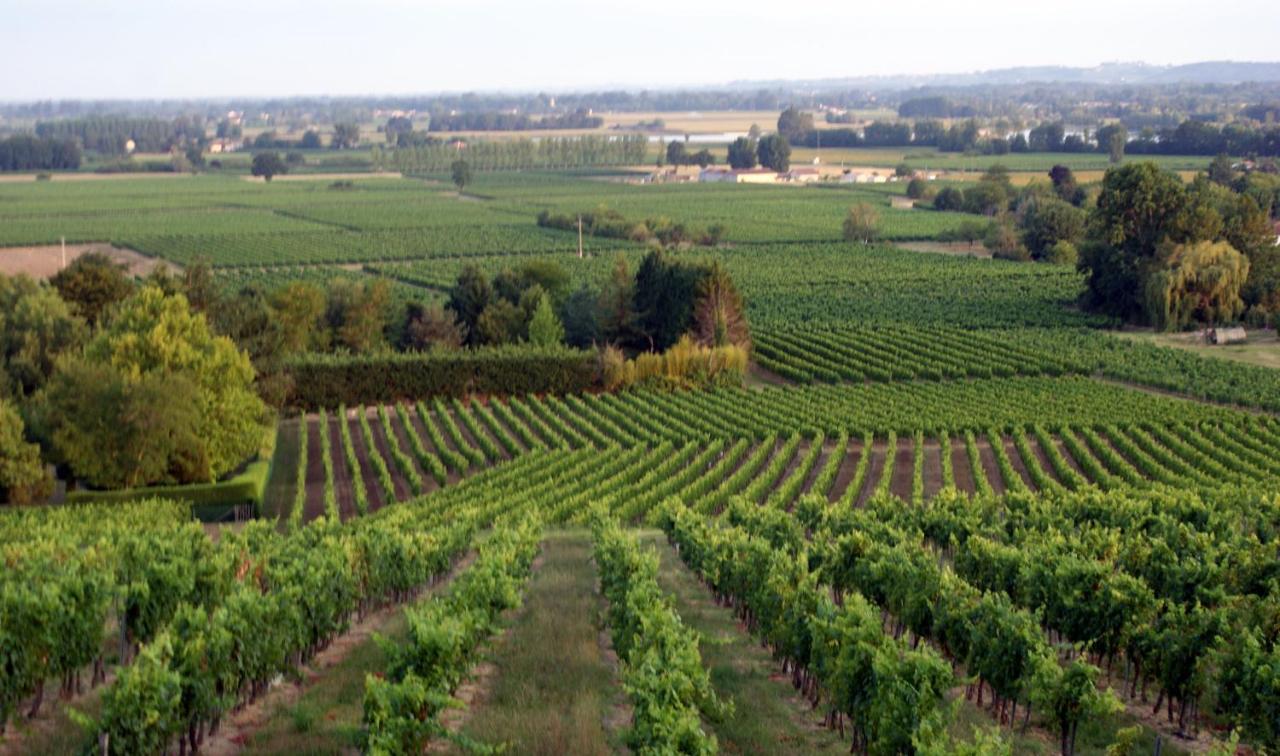 Romantic Gite Nr St Emilion With Private Pool And Views To Die For Pujols  Εξωτερικό φωτογραφία